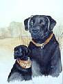 Tennessee Black Labs.jpg